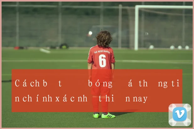 Cách bắt độ bóng đá thông tin chính xác nhất hiện nay